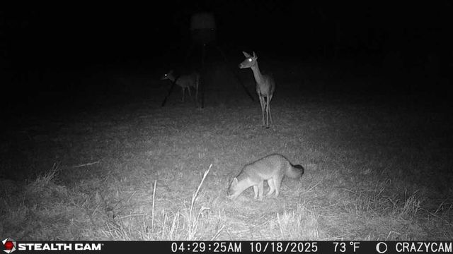 23651 Wolfridge RD, Killeen, TX 76549