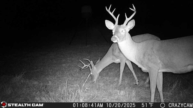 23651 Wolfridge RD, Killeen, TX 76549