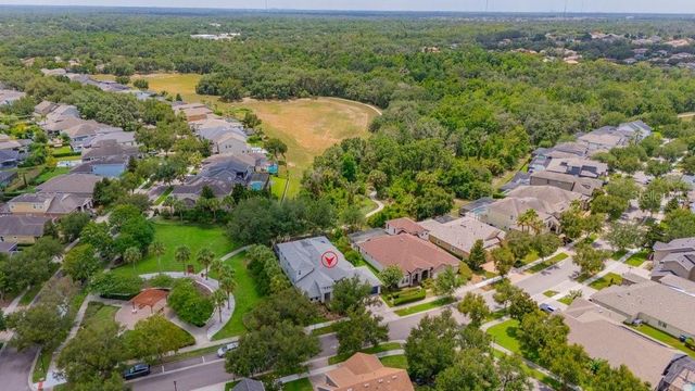 15531 STARLING CROSSING DRIVE, Lithia, FL 33547