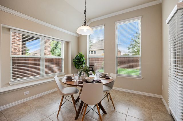 9836 Arctic Drive, Frisco, TX 75035