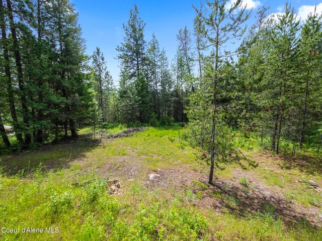 685 Blanchard Elk RD, Blanchard, ID 83804