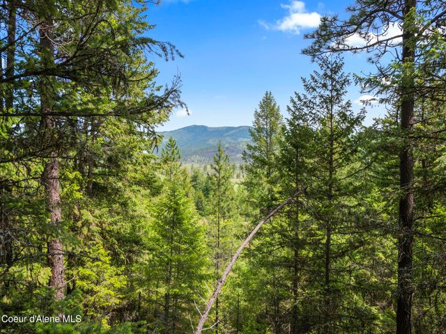 685 Blanchard Elk RD, Blanchard, ID 83804