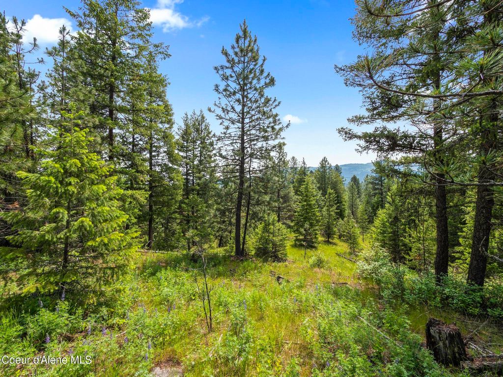 685 Blanchard Elk RD, Blanchard, ID 83804