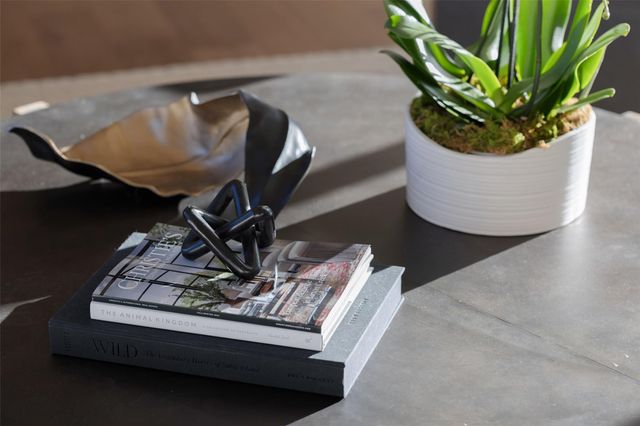 12120 FITZHUGH PL, Dripping Springs, TX 78620