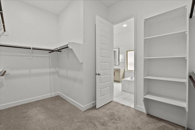 9934 Starry Night Lane, Manvel, TX 77578