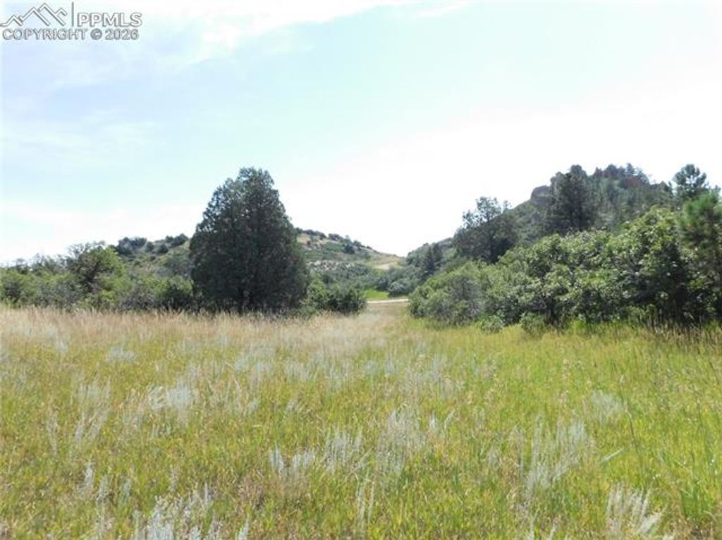 5967 Country Club Drive, Larkspur, CO 80118 — photo 3