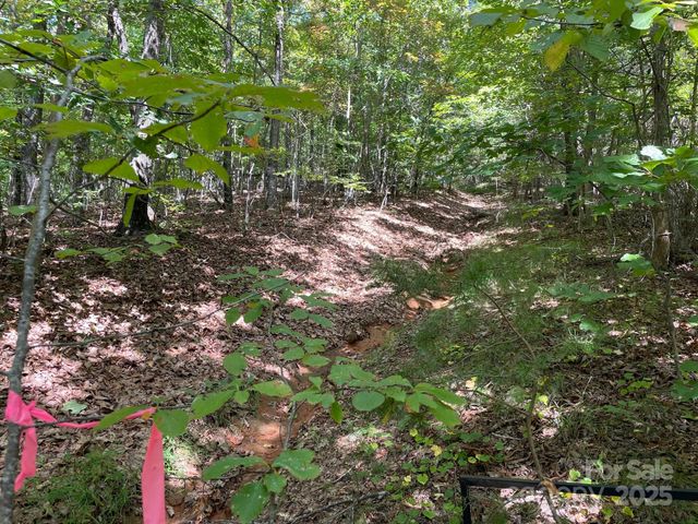 3901 High Peak Terrace, Valdese, NC 28690