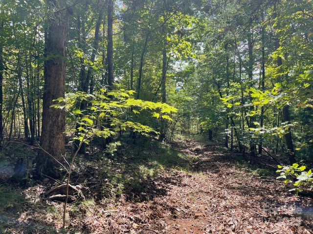 3901 High Peak Terrace, Valdese, NC 28690