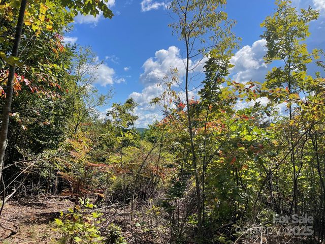 3901 High Peak Terrace, Valdese, NC 28690