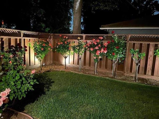 1701 S Springer Road, Mountain View, CA 94040