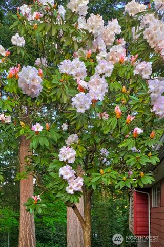 24007 44th Avenue W, Mountlake Terrace, WA 98043