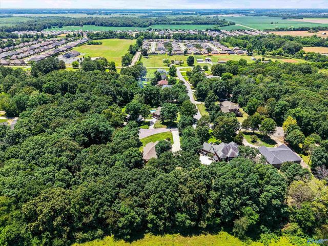 10638 Rosa Lane, Madison, AL 35756