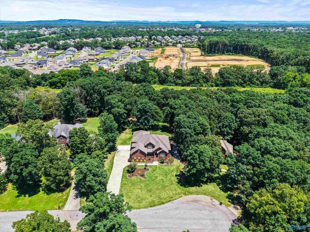 10638 Rosa Lane, Madison, AL 35756