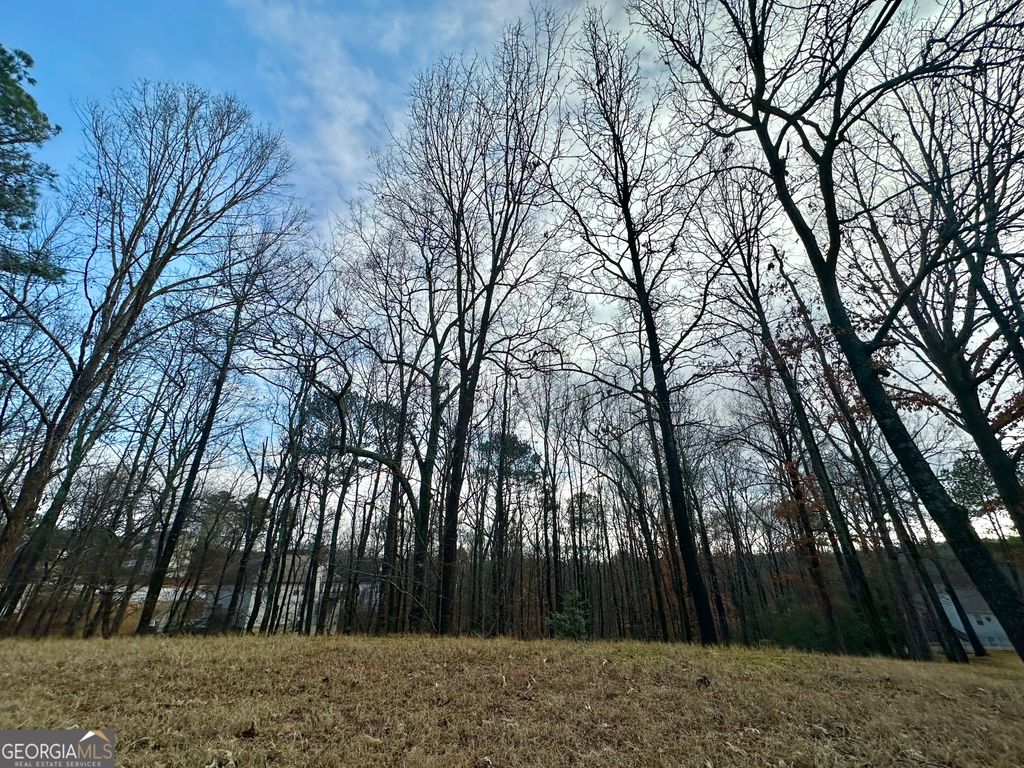 3222 Haleys Way SE, Conyers, GA 30013