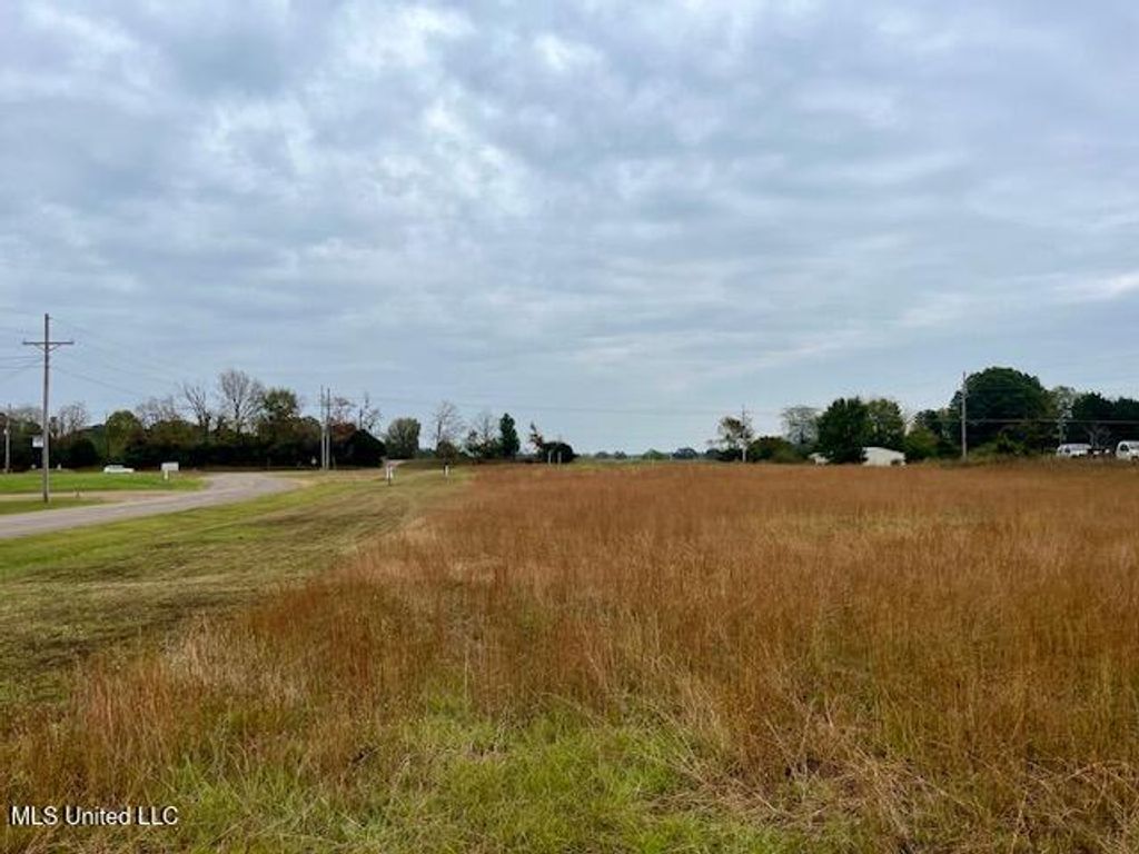 Lots 3 & 4 Capital Park Drive, Senatobia, MS 38668 — photo 3