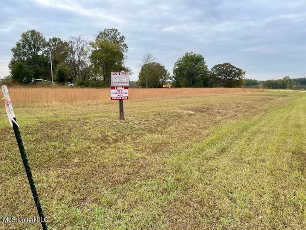 Lots 3 & 4 Capital Park Drive, Senatobia, MS 38668 — photo 4