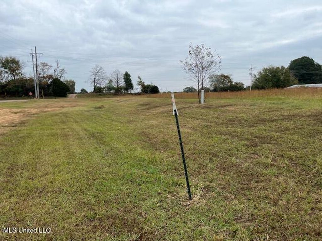 Lots 3 & 4 Capital Park Drive, Senatobia, MS 38668 — photo 5