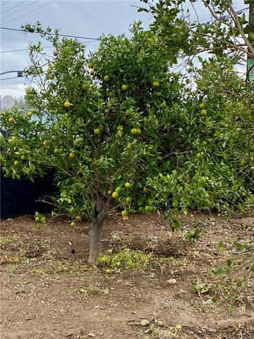 10025 Mission, Jurupa Valley, CA 92509