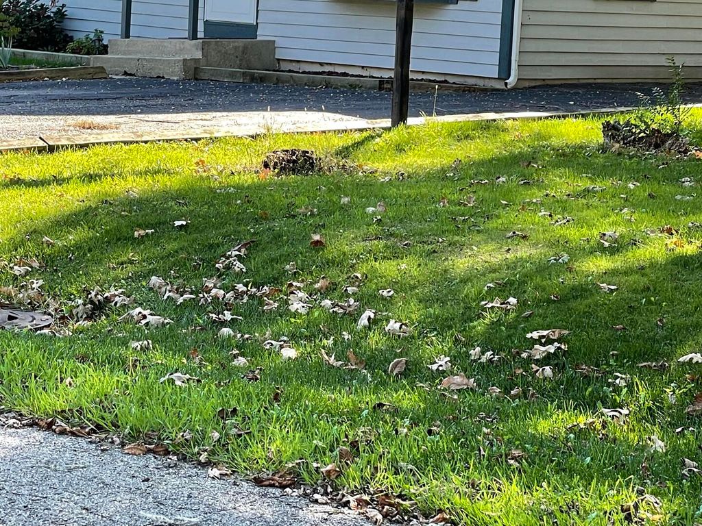 21341 W Sarah Drive, Lake Villa, IL 60046