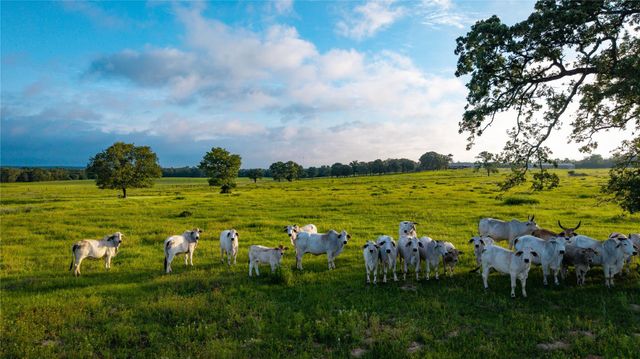 000 Hofferek RD, Rosanky, TX 78953
