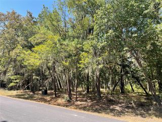 29 Walnut Point Drive, Coldspring, TX 77331