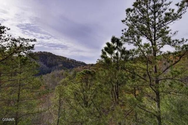 1340 Parkview Vista Way, Pigeon Forge, TN 37863