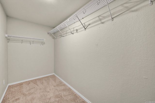 7337 Storms End, San Antonio, TX 78253