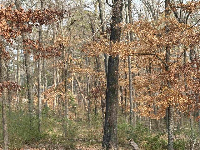 159 Stone Brook Dr, Henderson, TX 75654