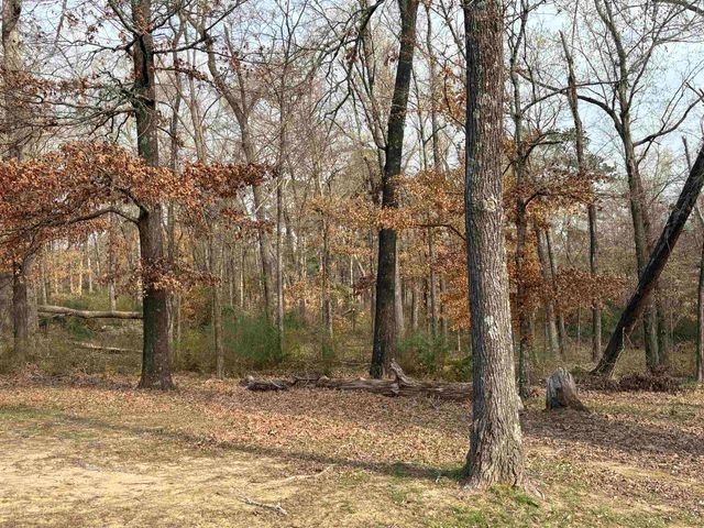 159 Stone Brook Dr, Henderson, TX 75654