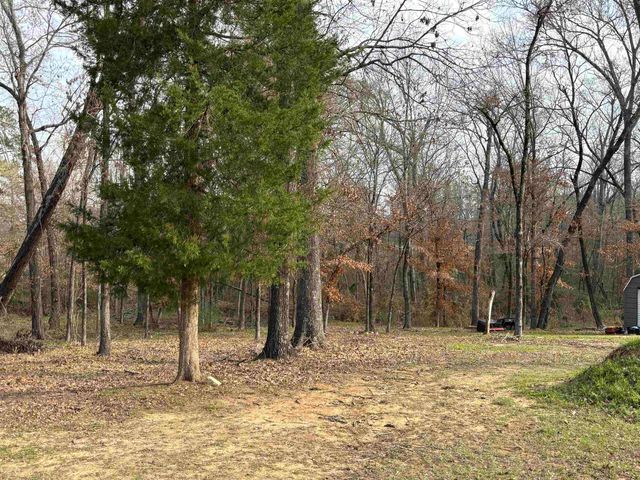 159 Stone Brook Dr, Henderson, TX 75654