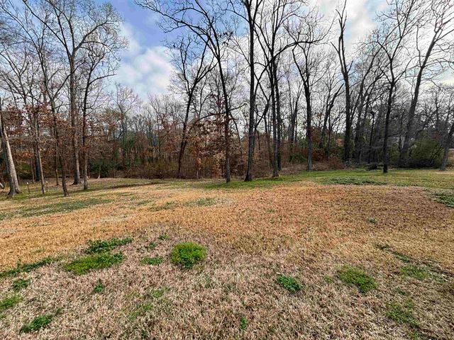 159 Stone Brook Dr, Henderson, TX 75654