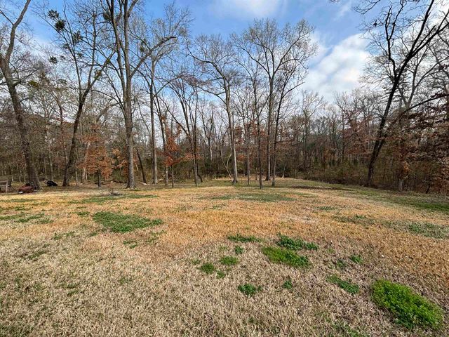 159 Stone Brook Dr, Henderson, TX 75654