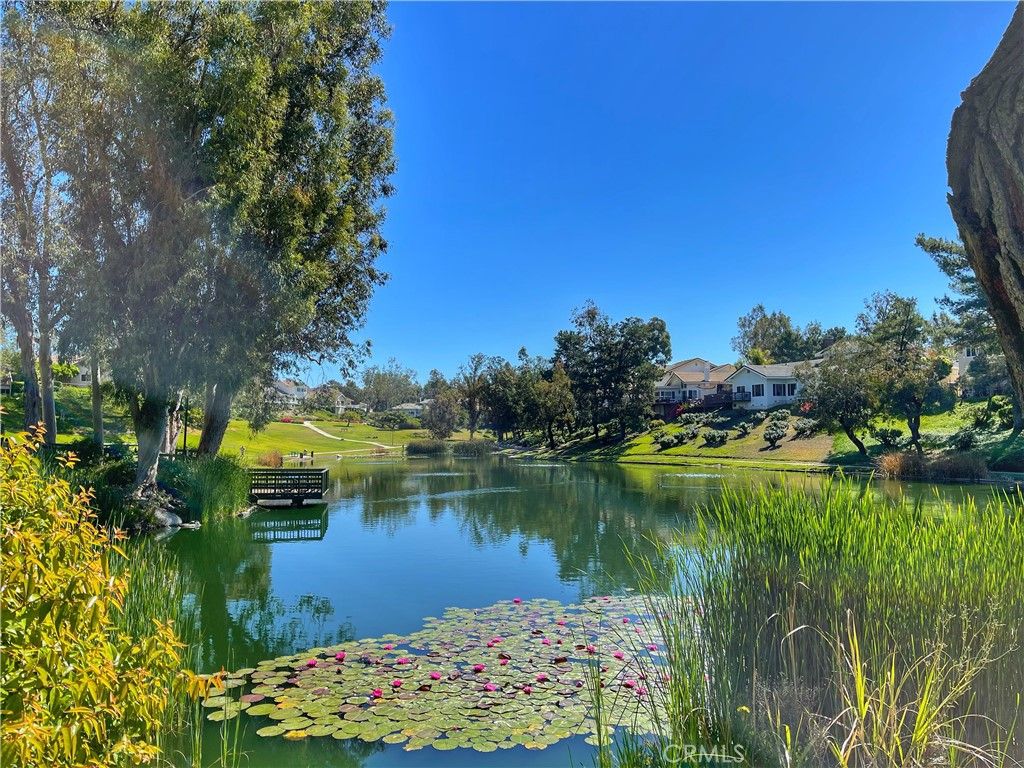 Image 59 of property listing at 714 N Lemon Hill Trail, Orange, CA 92869