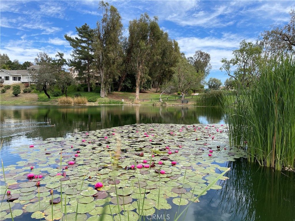 Image 66 of property listing at 714 N Lemon Hill Trail, Orange, CA 92869