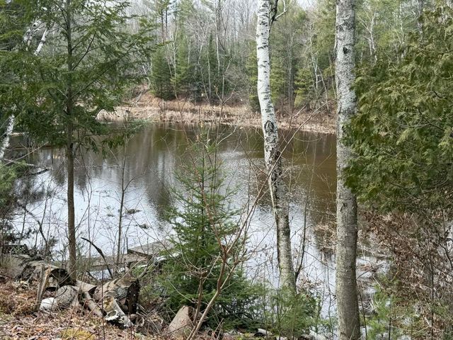 2823 River Ridge Road, Alger, MI 48610