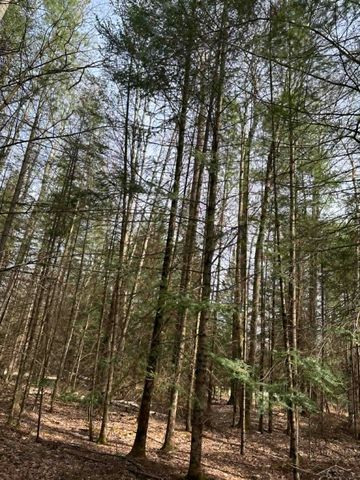 2823 River Ridge Road, Alger, MI 48610