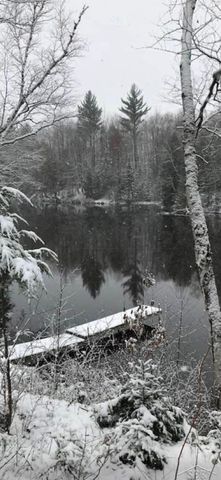 2823 River Ridge Road, Alger, MI 48610