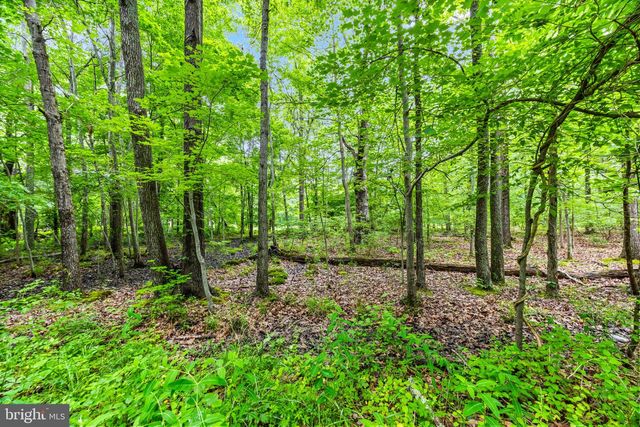 1430 HAILE PKWY, Shady Side, MD 20764