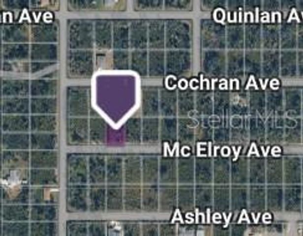 12086 MCELROY AVENUE, Port Charlotte, FL 33981