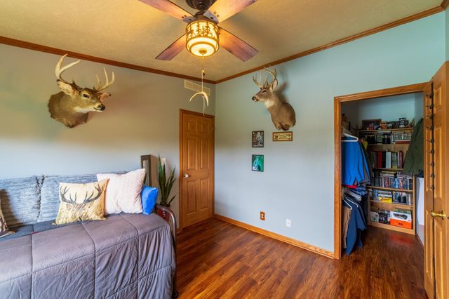 33071 Holly Road, Pine City, MN 55063