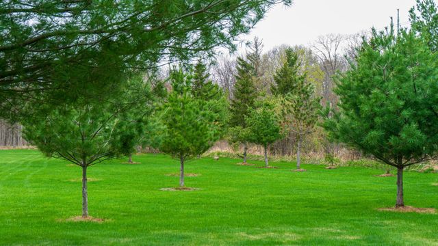 33071 Holly Road, Pine City, MN 55063