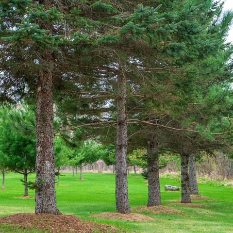 33071 Holly Road, Pine City, MN 55063