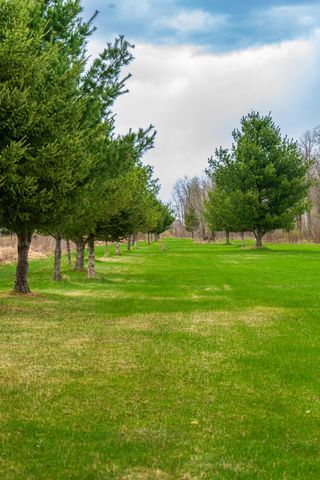 33071 Holly Road, Pine City, MN 55063