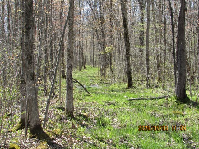 33071 Holly Road, Pine City, MN 55063