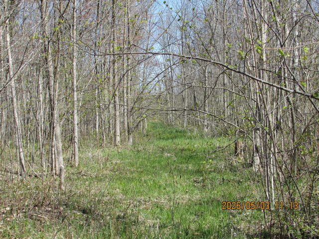 33071 Holly Road, Pine City, MN 55063