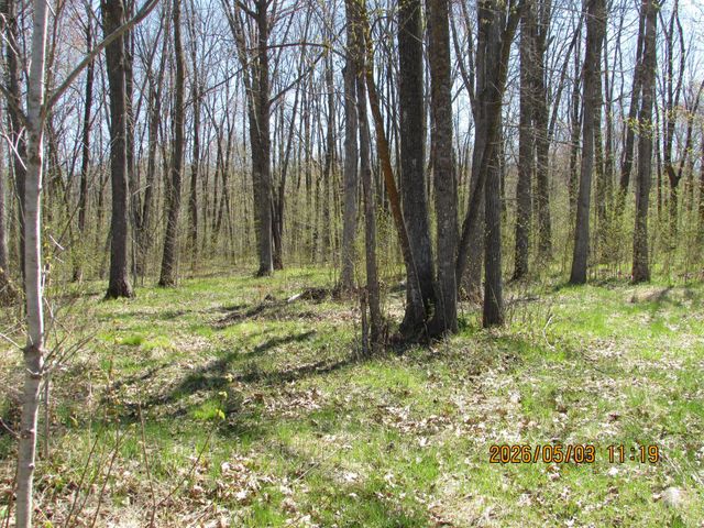 33071 Holly Road, Pine City, MN 55063