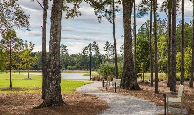 1006 Lettered Olive Lane, Summerville, SC 29485