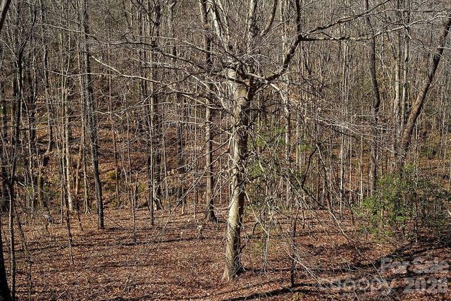 7972 Summit Ridge Drive, Catawba, NC 28609