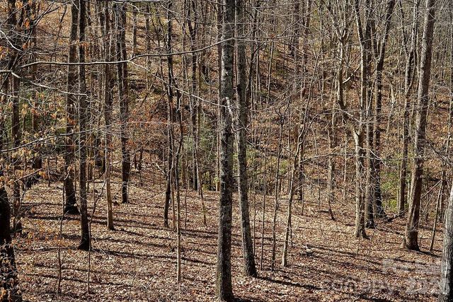 7972 Summit Ridge Drive, Catawba, NC 28609