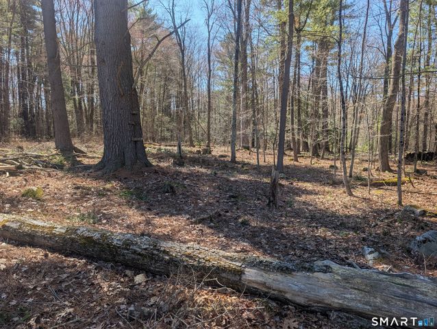 3222 Torringford Street, Torrington, CT 06790